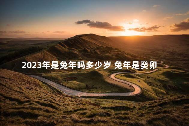 2023年是兔年吗多少岁 兔年是癸卯年吗